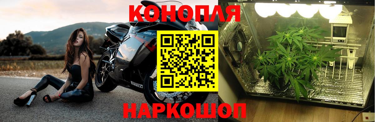 Каннабис Ganja  Бошки Шишки сатива  Вход с VPN  Конопля план  Мелеуз 